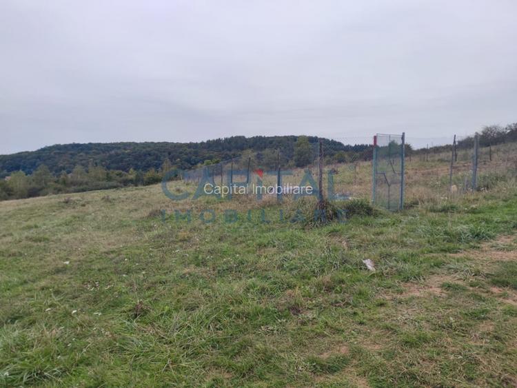 Fara comision! Teren 1000 mp, front 25 ml, PUZ in lucru, zona buna, Feleacu - 6