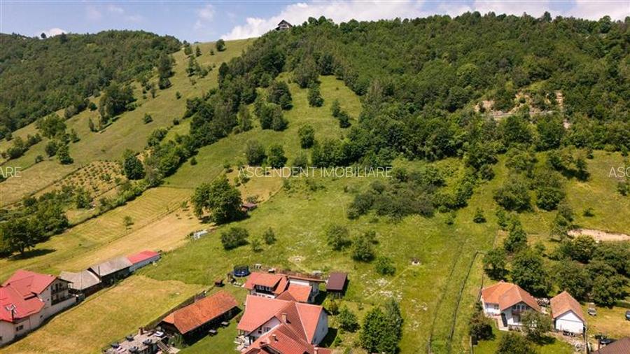 FILM!View superb catre munti,teren pretabil constructie Hotel,4.400 mp, Moieciu - 27