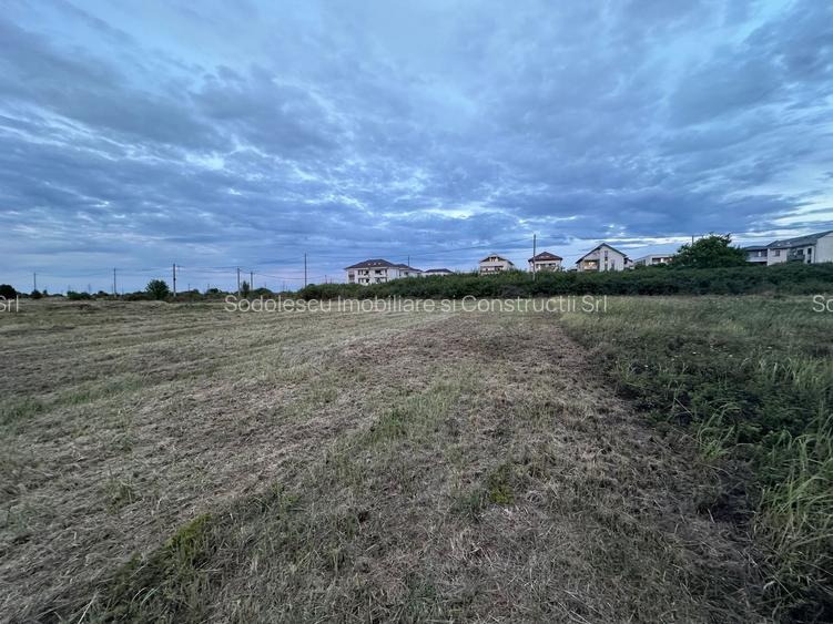 Teren servici cu front la BLD Petre Tutea - 4