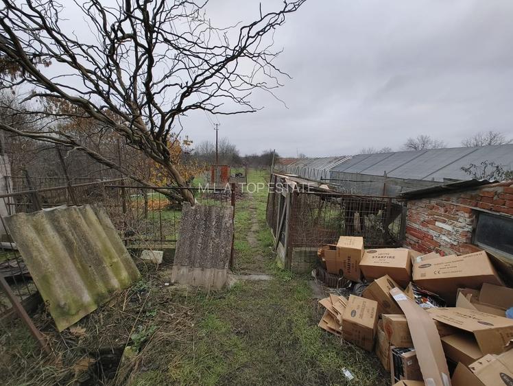 Casă Aradul Nou - 4