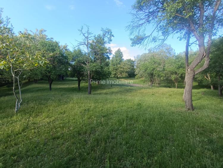 Casa / Proprietate deosebită cu 8142 MP teren | Oarda | - 12