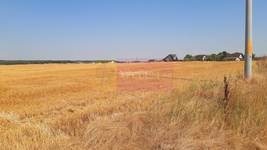 Teren pentru casă/case în Brănești pe strada Toporași - 25