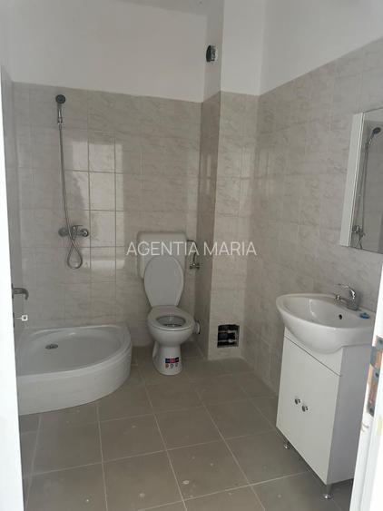 Casa Pensiune in Viile Satu Mare teren 1,63 ha, 11 camere, 10 bai - 12