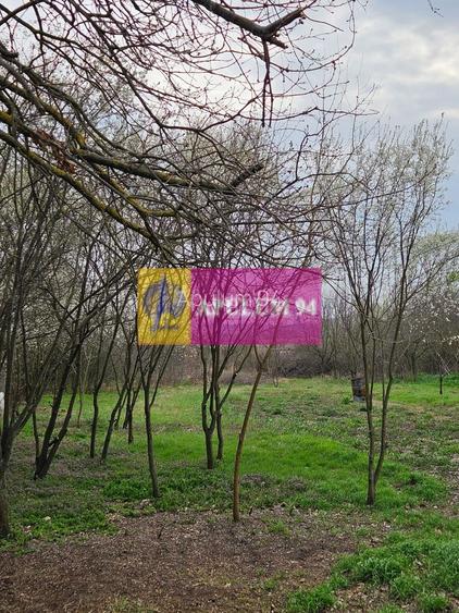 GIURGIU - COM. BUCSANI (SAT OBEDENI) CASA 2 CAM DE VANZARE - 26