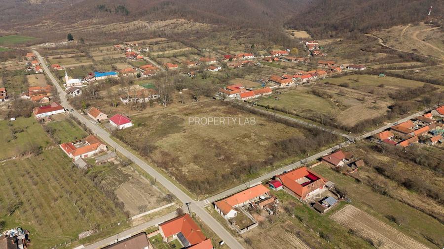 Conac nobiliar de secol XIX cu 8 camere în Maciova - 9