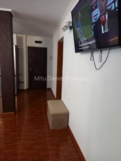 Apartament de vânzare, Dr. Tr. Severin - 14