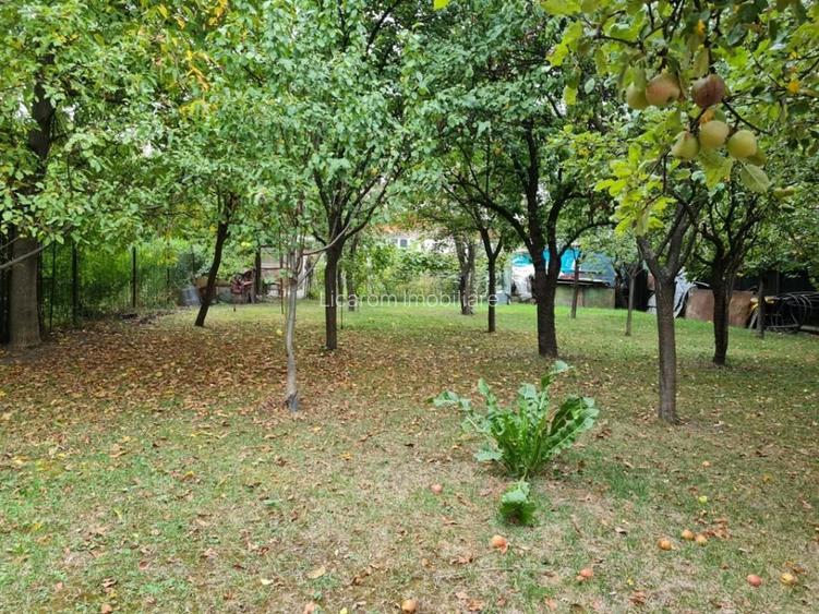 Proprietate individuala-3 apartamente,spatiu comercial,garaje,gradina,curte - 9