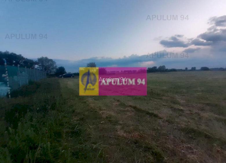 Teren aproape de Bucuresti langa padure - 20