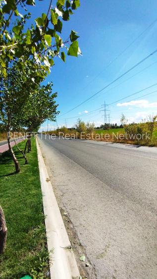 MEGA OCAZIE TEREN INTRAVILAN INDUSTRIAL 13652 MP DRUMUL LUNCA CETATII 42 E/MP - 4