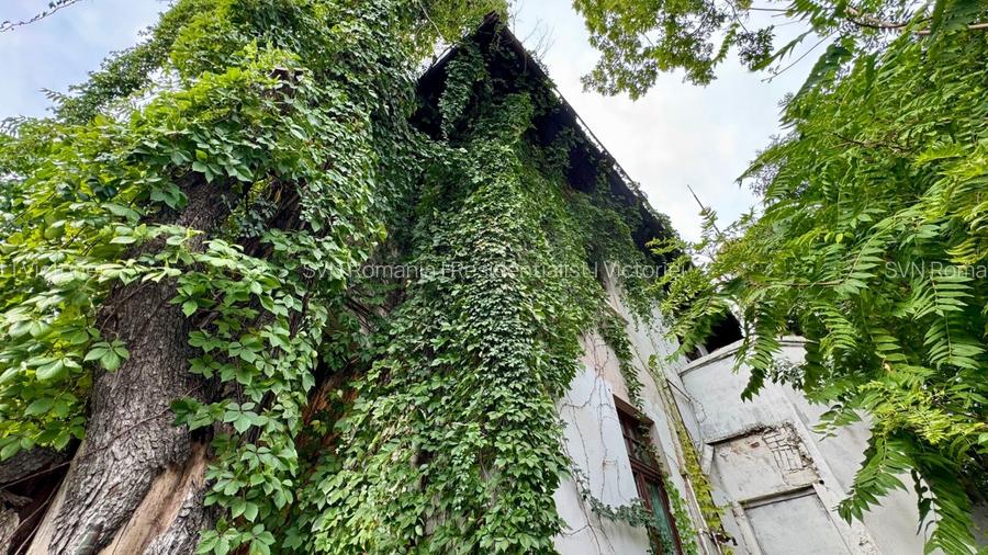REV2004936 Vila cu teren I Calea Victoriei I De vanzare - 18
