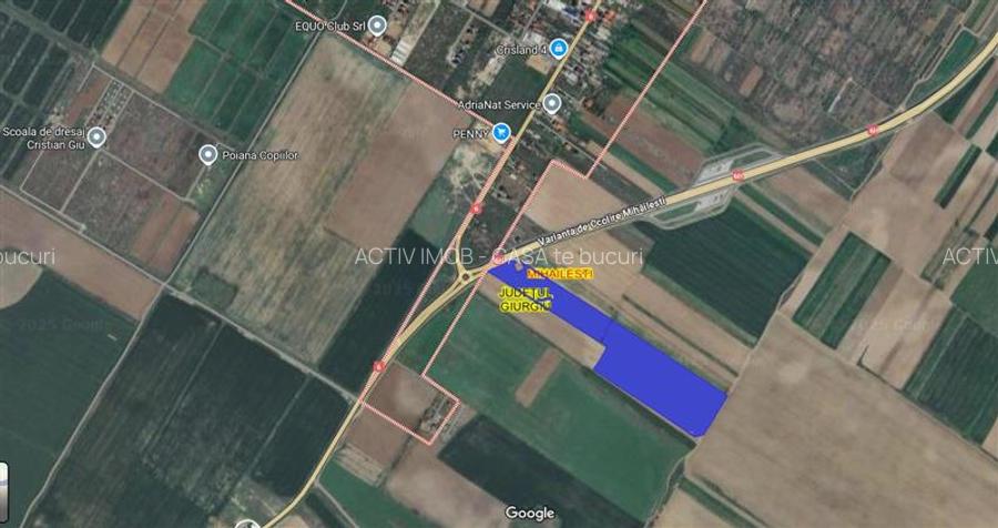 9 ha, Intravilan, Centura Mihailesti, Barter, Joint Venture sau Vanzare - 2