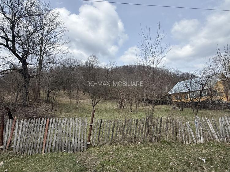 Teren 6040 mp la baza pădurii deschidere 40 ml - 11