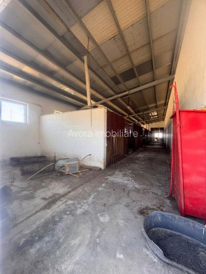 Teren Intravilan, Barateaz-Satchinez - 24