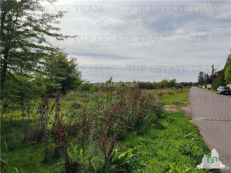 Teren 20.000mp Corbeanca - 3