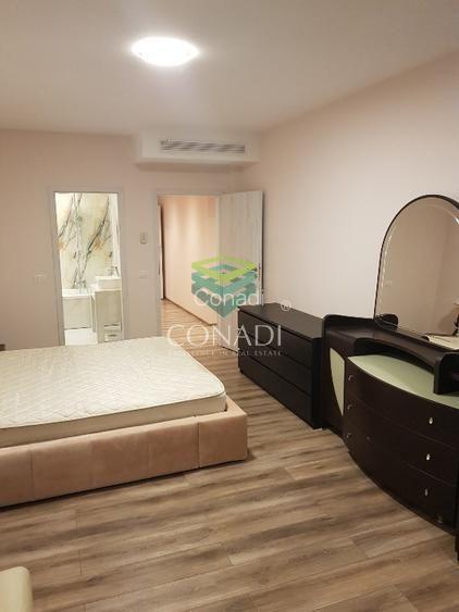 Aproape cu 4 camere  de închiriat Herastrau - 8