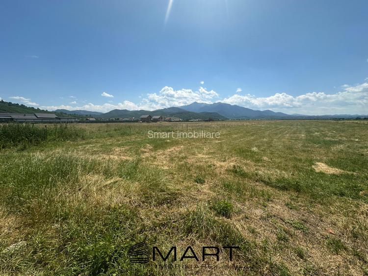 Teren Intravilan Rasnov 7.500 mp - 3