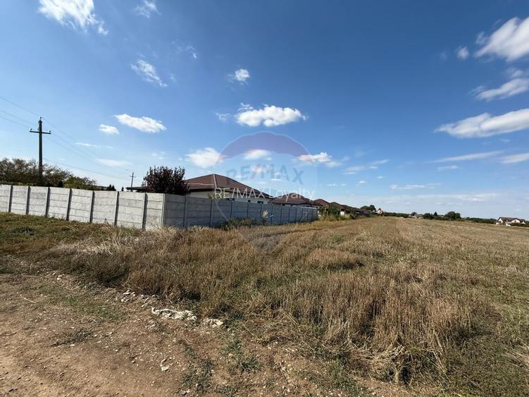 Vand teren intravilan 5000 mp in Sabareni - 4