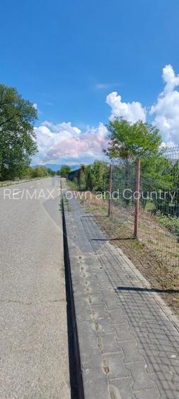 Teren 570mp Sighetu Marmatiei / Strada Crisan - 6