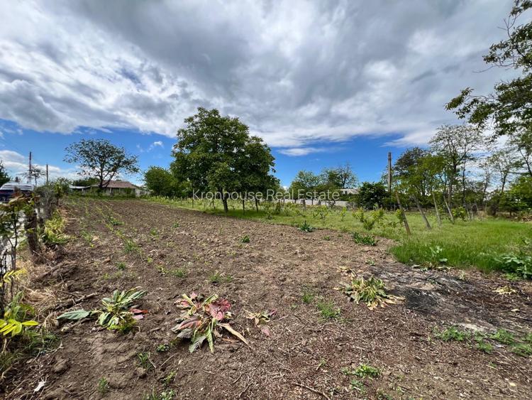 Casa + teren 4430 mp, vie si pomi fructiferi, 22 km de Tecuci - 33