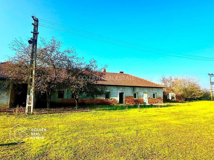 Teren intravilan 71.000mp, Barsa, Renumita Fabrica de caramida si casa 4 camere - 2