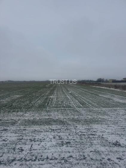 COMISION 0% | Teren intravilan | 5.000 mp | Front stradal 12,5 m | Șag - 3