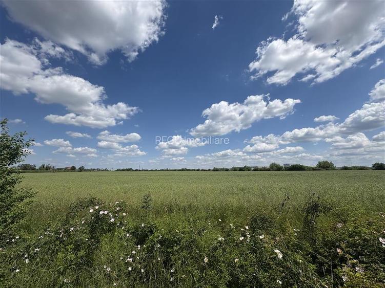 RECO Teren intravilan, zona Cartier Balcescu - 3