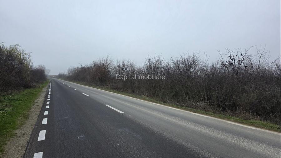 Teren 3000 mp dublu acces – vedere la Dunăre - 7