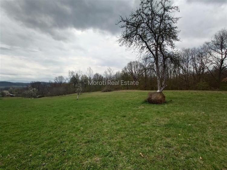 10 000 mp teren intravilan cu priveliste - 17