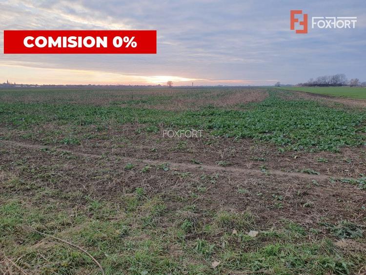 Comision 0% Teren extravilan agricol 21,32 ha sau intravilan cu PUZ aprobat - 21