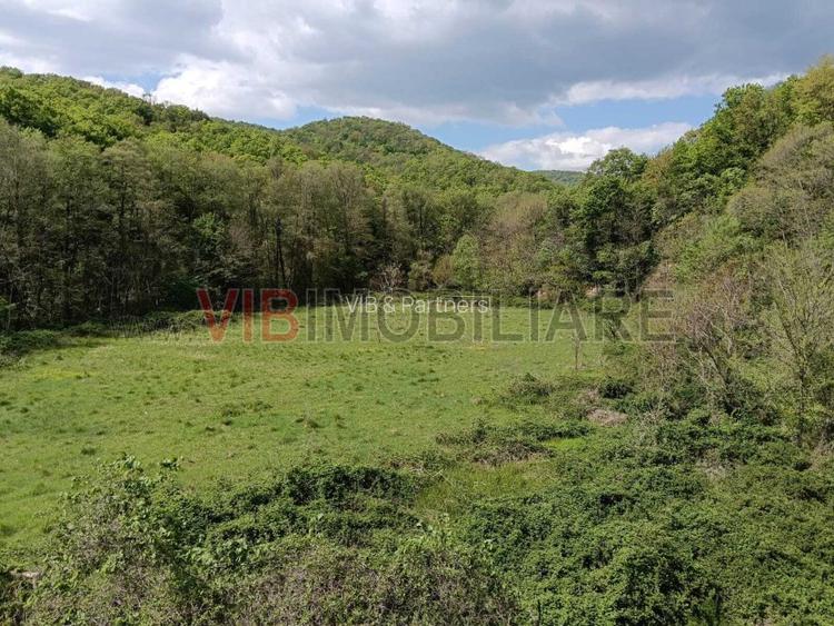 Fost motel aproape de Dunare, o investitie unica - 2