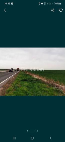 Vand teren intravilan 4,5 hectare vis a vis de Aeroportul Mihail Kogalniceanu - 5