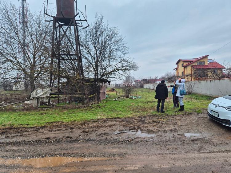 Teren Branesti Islaz Propietar - 5