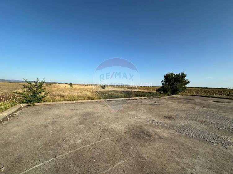 Teren extravilan de vanzare - 19.963 mp, E68 Mandruloc-Vladimirescu - 9