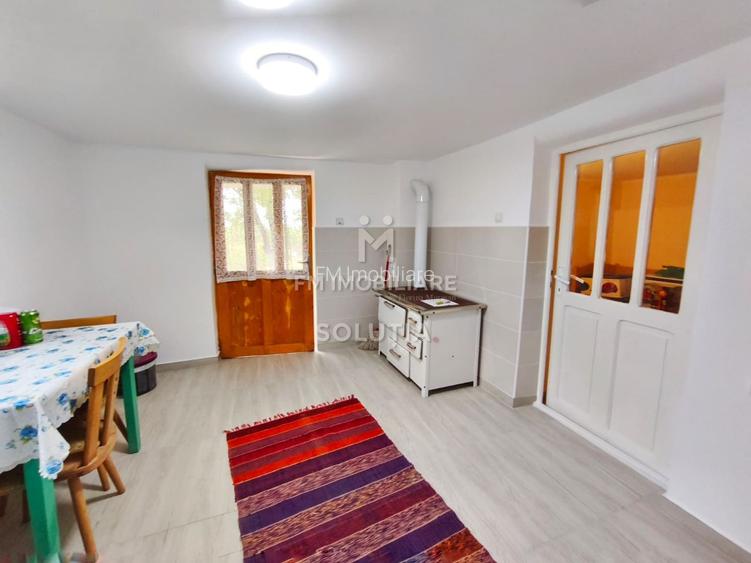 Casă P+1 de vânzare | Cicârlău | 11 ari teren - 12