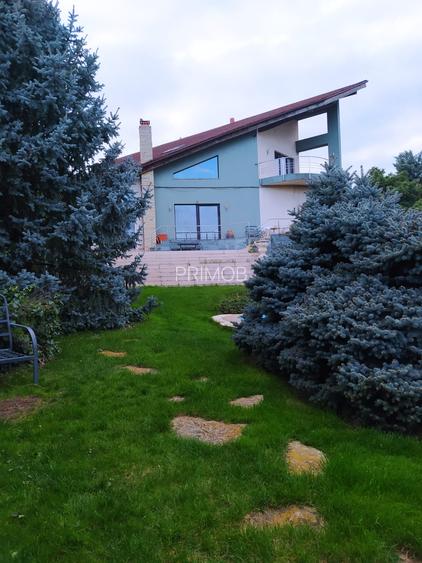 Mogosoaia vila robusta cu view unic catre palat si parc,ponton pe lac,dendrariu - 8