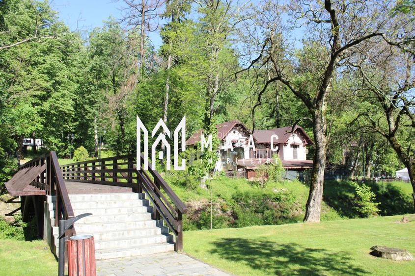 Investitie I Restaurant I Parc Izvor Caciulata - 31