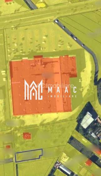 Teren | 1156 MP | Intravilan | Turnișor - 3