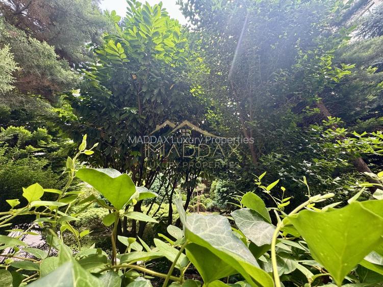 Apartament cu 5 camere parter + Gradina 100mp // Herastrau - Aviatiei - 41