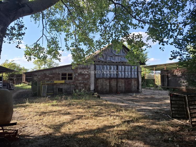 Ferma cu teren agricol de vanzare in Nadlac - 17