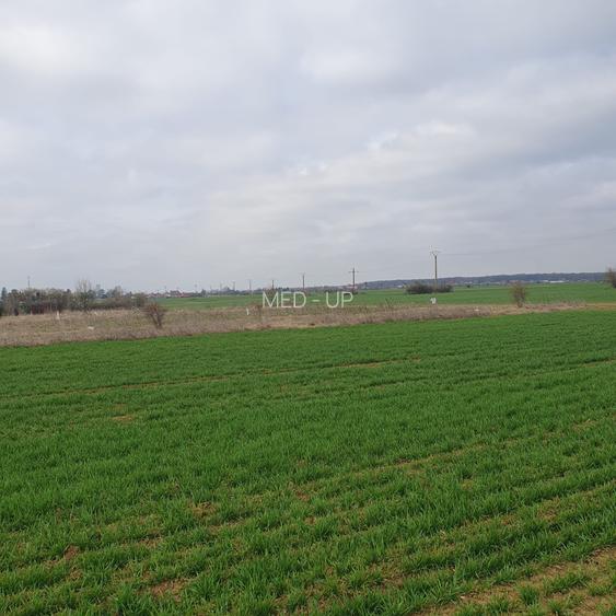 Tâncăbești -Ilfov suprafață 4500 mp - 3