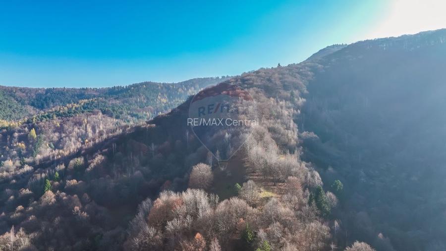 Teren Colinar Panoramic – 17.684 mp în Scheii Brașovului - 6