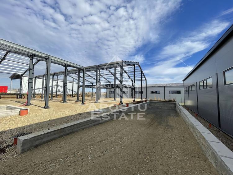 Hala noua cu rampa tir, 540 mpu, Giarmata - 5