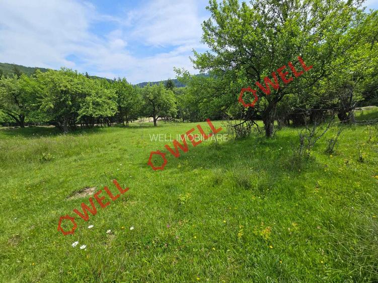 De vânzare teren intravilan în localitatea Scrădoasă! - 5