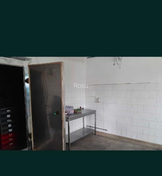 Spațiu producție, depozitare - 4