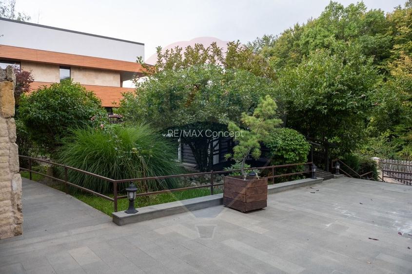 Vilă spectaculoasă de vânzare în Făget - 14