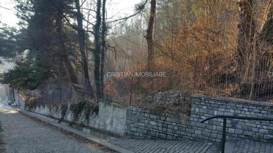 Teren 1925 mp, POT 40%, CUT 1,5-1,8, LANGA TELECABINA SINAIA - 11