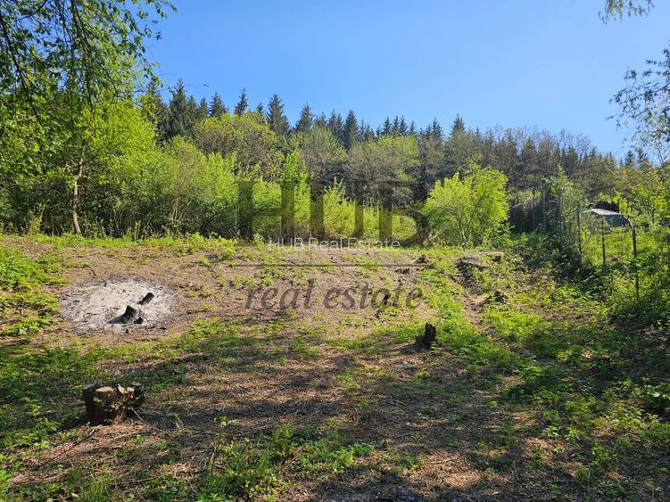 Teren intravilan | langa padure si parau | Luncani/Bacau - 7