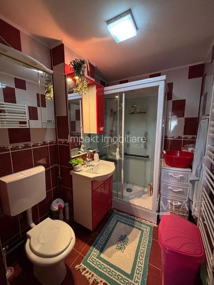 Apartament cu 2 camere decomandat-Parcul Teilor - 9