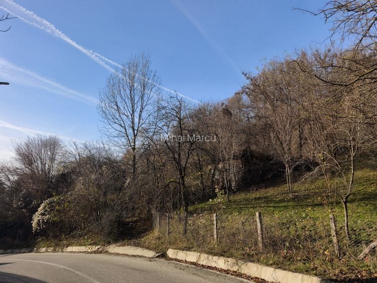 Teren intravilan Breaza 4,000mp utilitati. Panorama superba. Parcelabil - 16