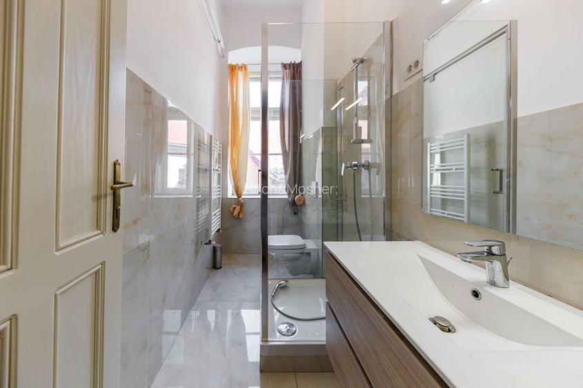 Frumusețea arhitecturii de altădată - Timisoara - 20